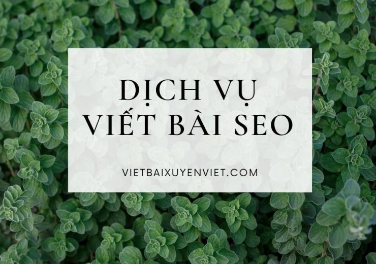 dịch vụ viết bài seo vietbaixuyenviet
